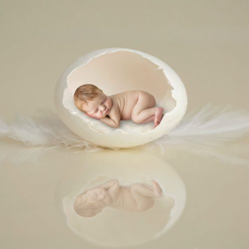 Baby-Newborn-Egg-Girl-Boy-Family-Maternity-Pregnant-scaled.jpg