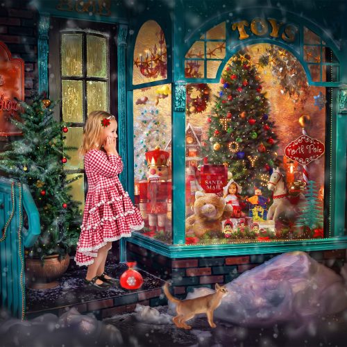 Christmas-Window-Shopping-Toy-Store-Gifts-Nutcracker-Ornaments-Lights-Girl-Cat-scaled.jpg