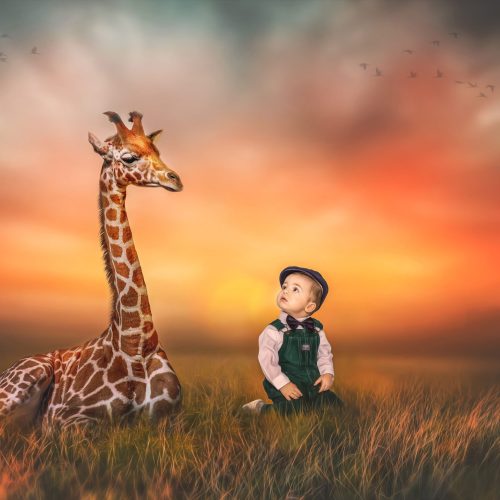 Giraffe-Boy-Little-Child-Field-Sunset-Glow-Zoo-Adventure-scaled.jpg