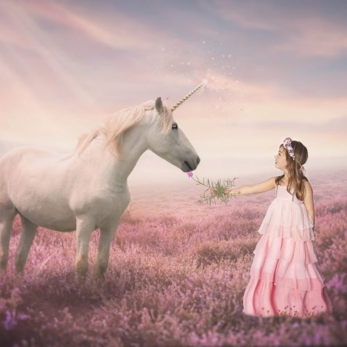 Unicorn-Horse-Fantasy-Field-Flowers-Girl-Princess-Pink-Sparkles-scaled.jpg